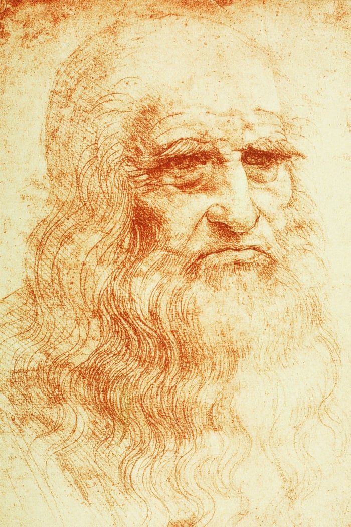Image result for leonardo davinci self portrait public domain