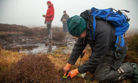 Sphagnum moss is planted on Marsden Moor