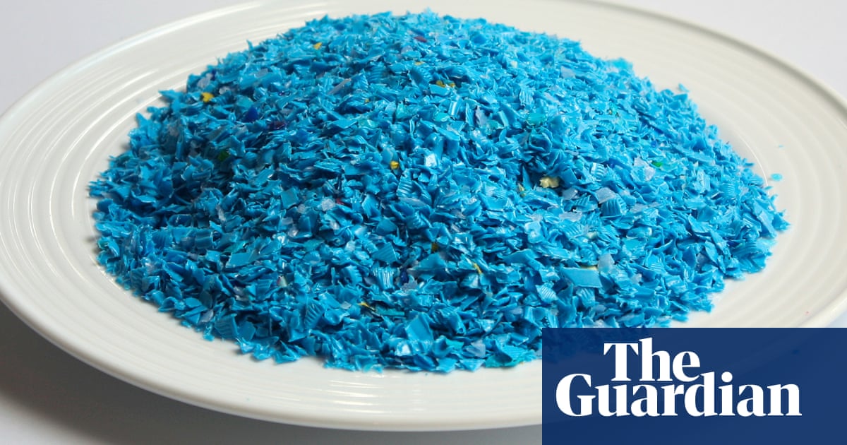 It’s on our plates and in our poo, but are microplastics a health risk?