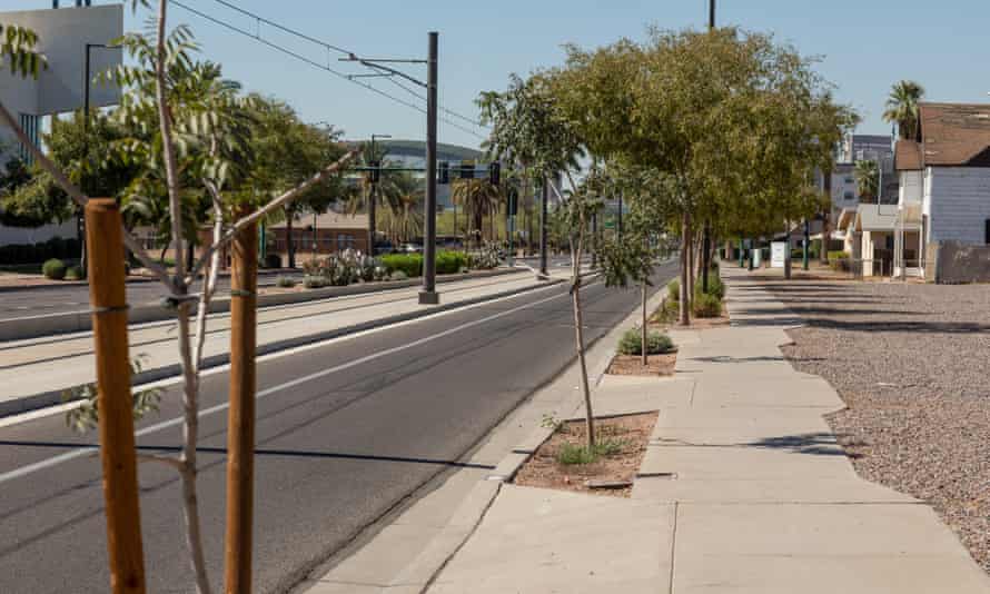 New trees planted along the Valley Metro Rail in Phoenix, Arizona. There is minimal shade in the neighborhood and the heat can be 20F hotter than in other parts of the Phoenix metro area.
