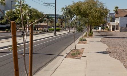 New trees have been planted in the Edison-Eastlake neighborhood in Phoenix, where there is minimal shade.