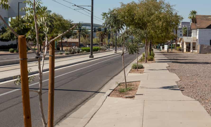 New trees were planted in the Edison-Eastlake neighborhood of Phoenix, where shade is minimal.