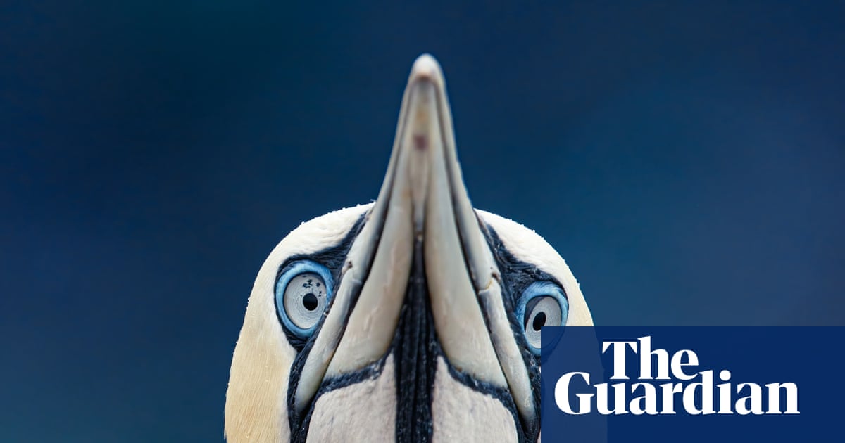 Poem of the week: Solitude by Peter McDonald