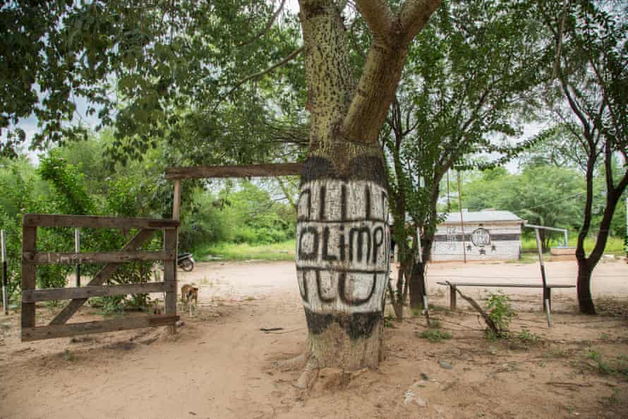 A tree trunk painted in football club  colours in a dusty village