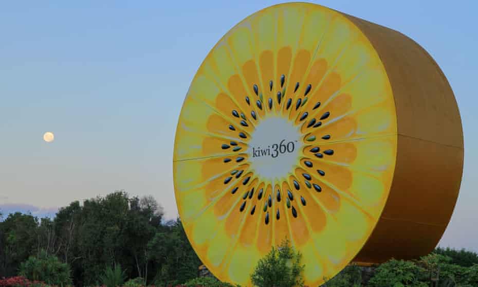 Zespri’s golden kiwifruit, developed in New Zealand, have illustrated the difficulty of enforcing intellectual property rights in China