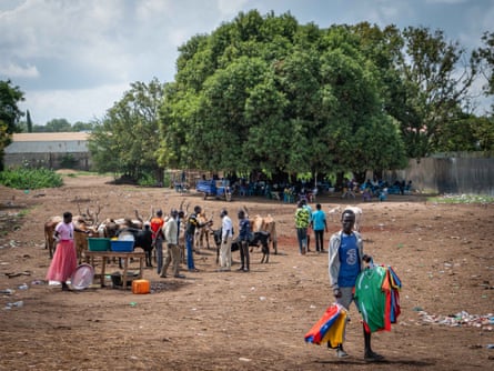 Cattle market, Gumbo district, Juba, South Sudan