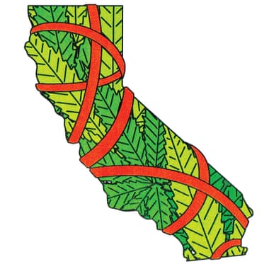 california illustration