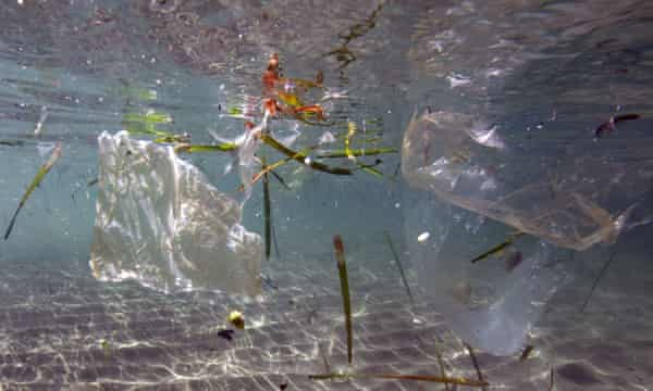 plastic waste floating in the sea