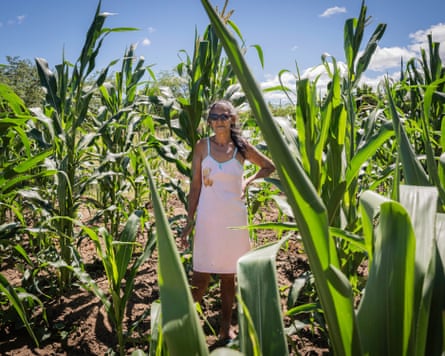 An older woman in sunglasses and a sundress stands amid maize plants the same height as her