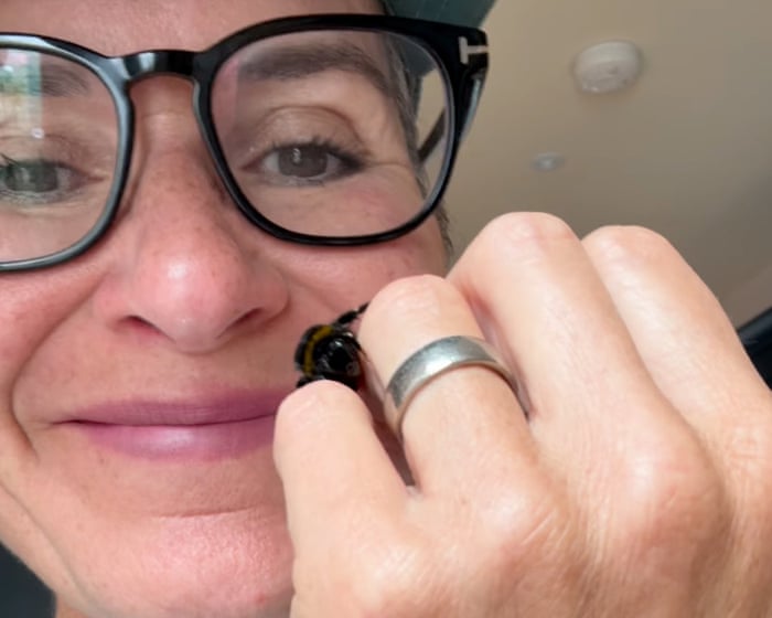 ‘I could watch her for hours’: the woman who rescued a bee and created a buzz
