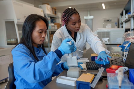 Striving for excellence … researchers at work in a lab.