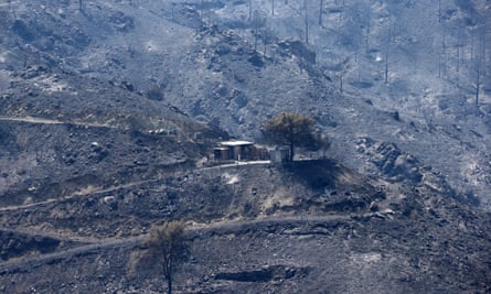 A burned mountain area in the Larnaca region