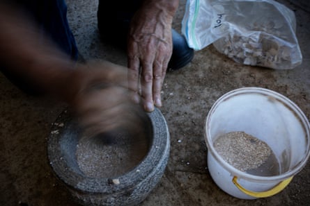 A mixture of egg shells and basalt is used to produce biodynamic fertiliser, which will be placed in a cow horn and buried in the earth.