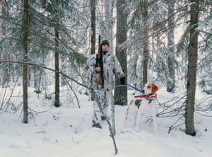 world europe wolf population finland culling protection world europe wolf population finland culling protection