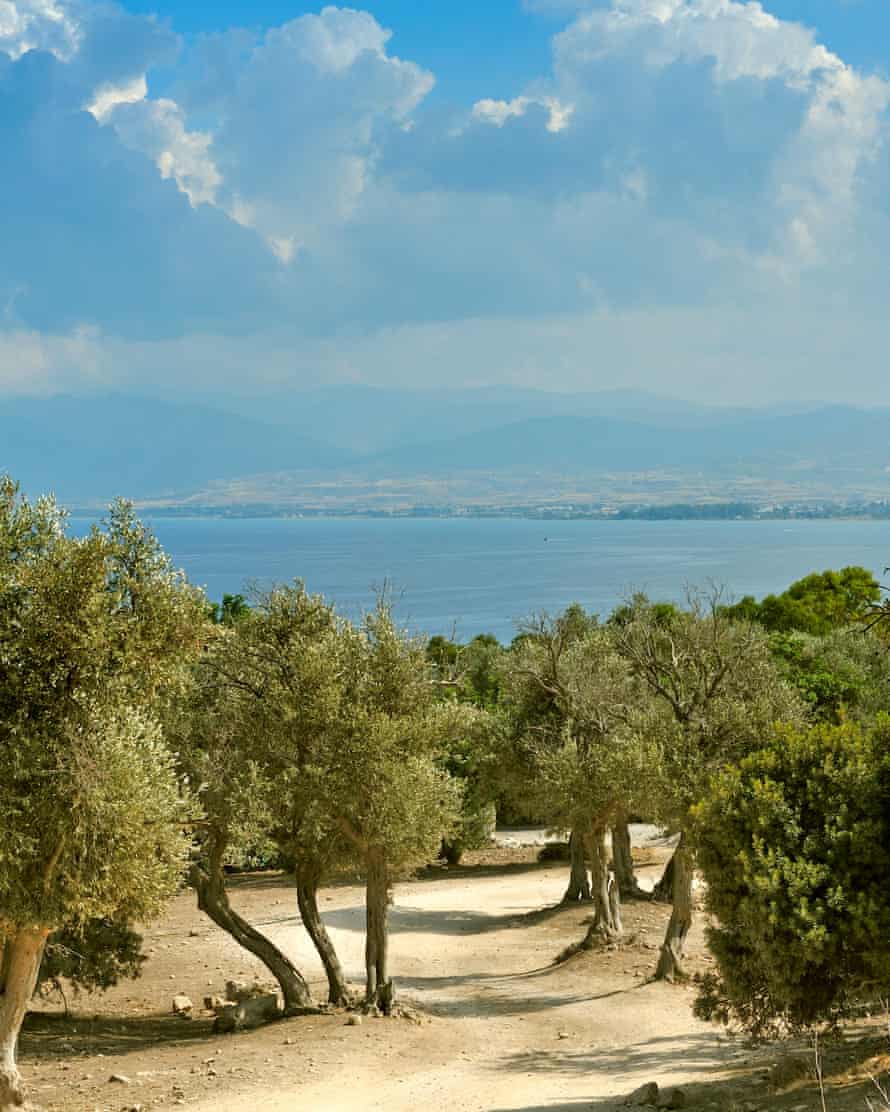 The walk to the Bath of Aphrodite.