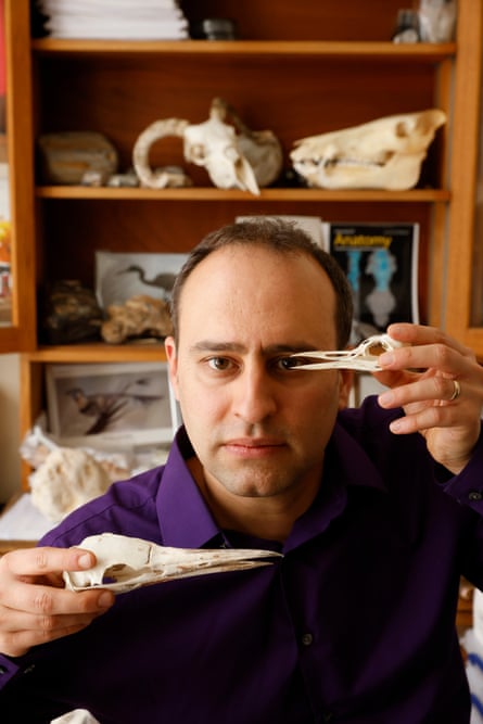 Prof Steve Brusatte poses with some bird skulls from his collection