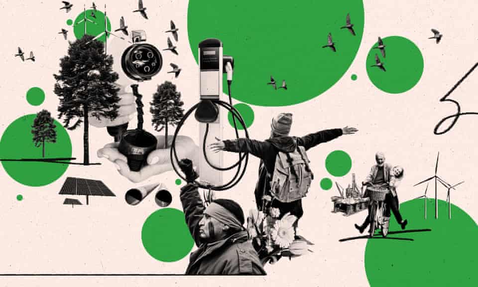 abstract collage illustration: birds, tress, green technology, environmental protests