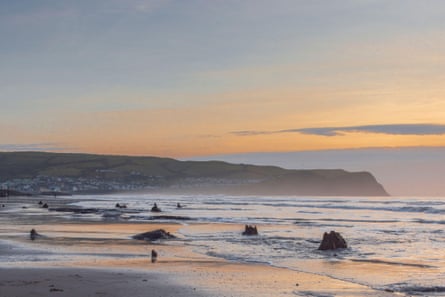 Pantai saat matahari terbenam dengan tunggul pohon tua