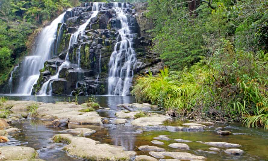 Owharoa falls, inside Karangahake Gorge, is a popular swimming spot in Waikato, New Zealand.