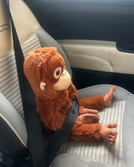 Ikea orangutan toy buckled into the passenger seat of a car