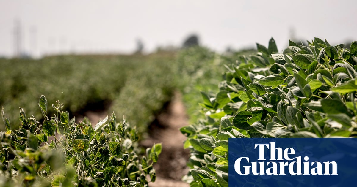 US environment agency let Bayer pick regulations for destructive weedkiller, documents show