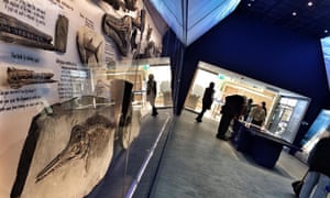 Museum of Jurassic Marine Life in the village of Kimmeridge