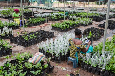 Two women sit working among plant pots in a nursery