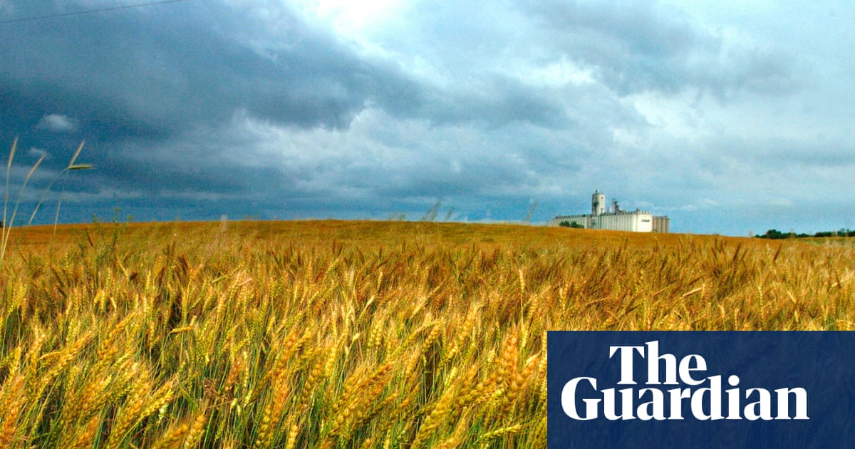 Chinese scientist charged with smuggling pathogen into US to be deported