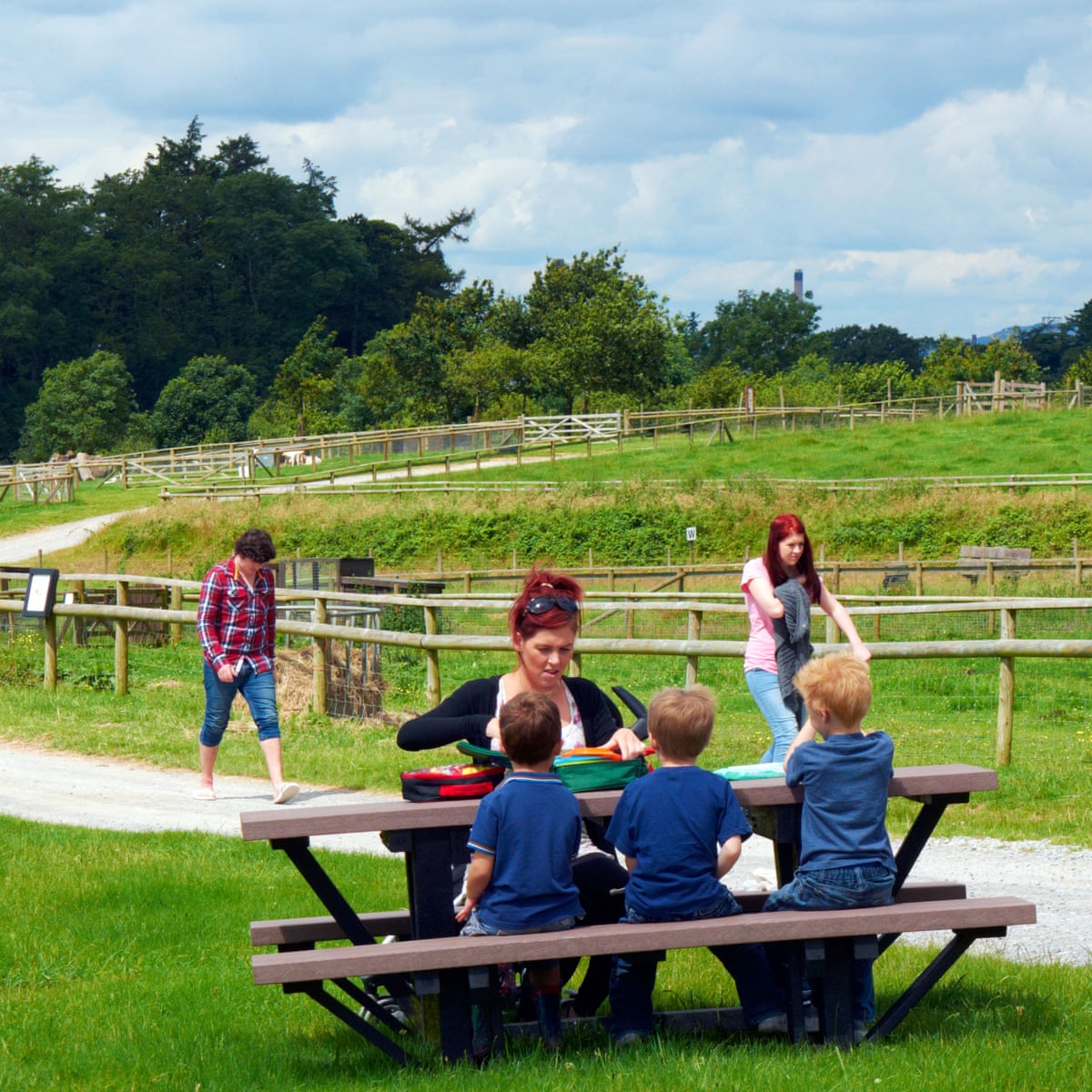 picnic bench 