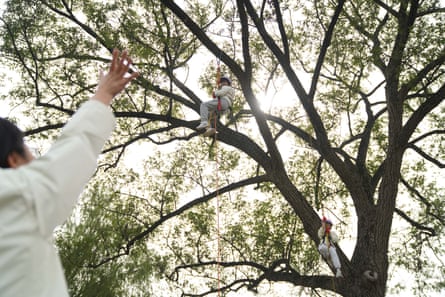 Two children playing in trees as an adult below waves