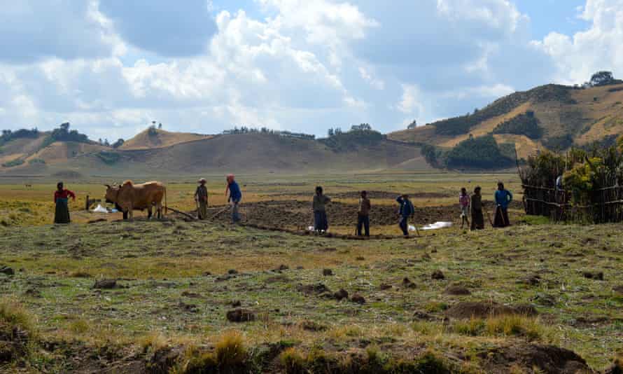 Workers near Chitu in the Oromia region