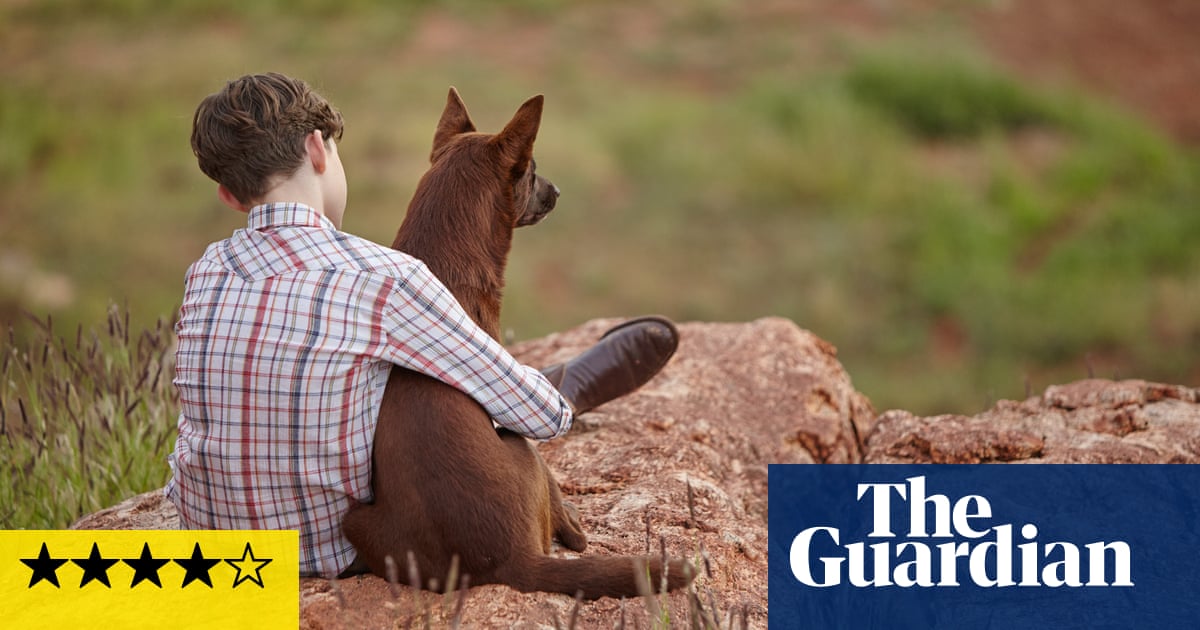 Red Dog: True Blue review – a splashy, sun-drenched slice of Australiana |  Red Dog: True Blue | The Guardian