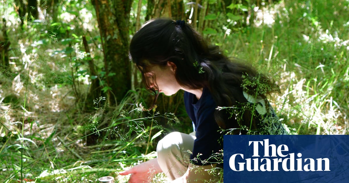 Magic mushrooms: how scientists discovered fungi are the secret ingredient for restoring the world's forests
