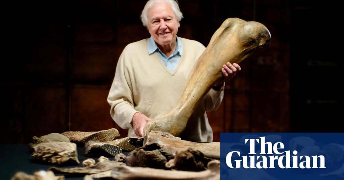 TV tonight: David Attenborough explores a mammoth graveyard