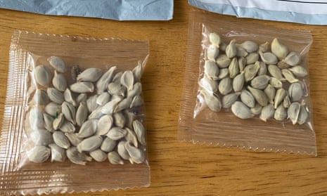 Packages of unidentified seeds which appear to have been mailed from China to US.
