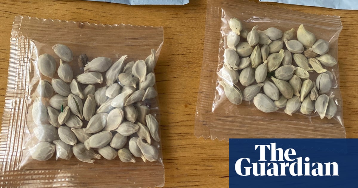 Americans warned not to plant mysterious seeds appearing in the mail - The Guardian