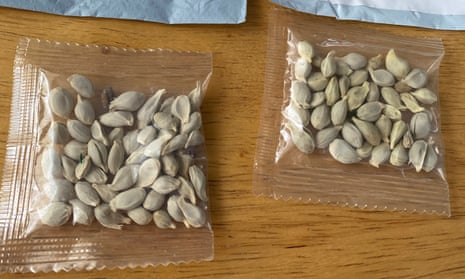 Packages of unidentified seeds that appear to have been mailed from China to US postal addresses.