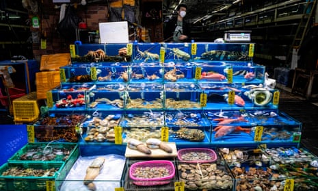 seafood in blue perspex boxes at a Chinese market