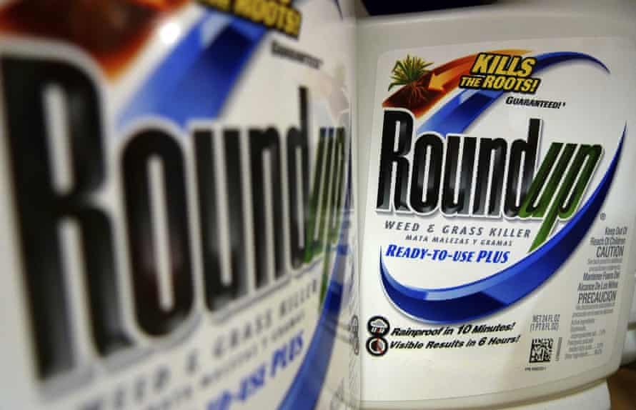 Monsanto has long argued that Roundup is safe and not linked to cancer.