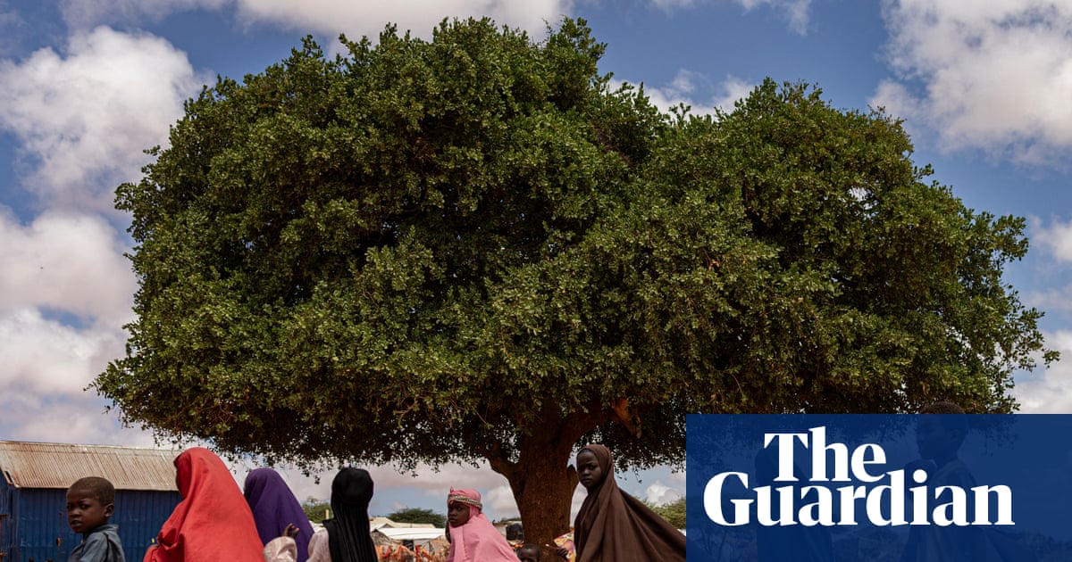 Aid cuts will harm lives and livelihoods in Somalia - Somalia