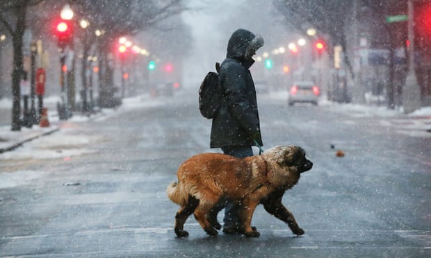 A man walks his dog through the snow in Boston on 4 January.