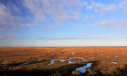 saltmarshes under blue sky