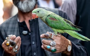 A green parrot rests on a man’s bejewelled hands