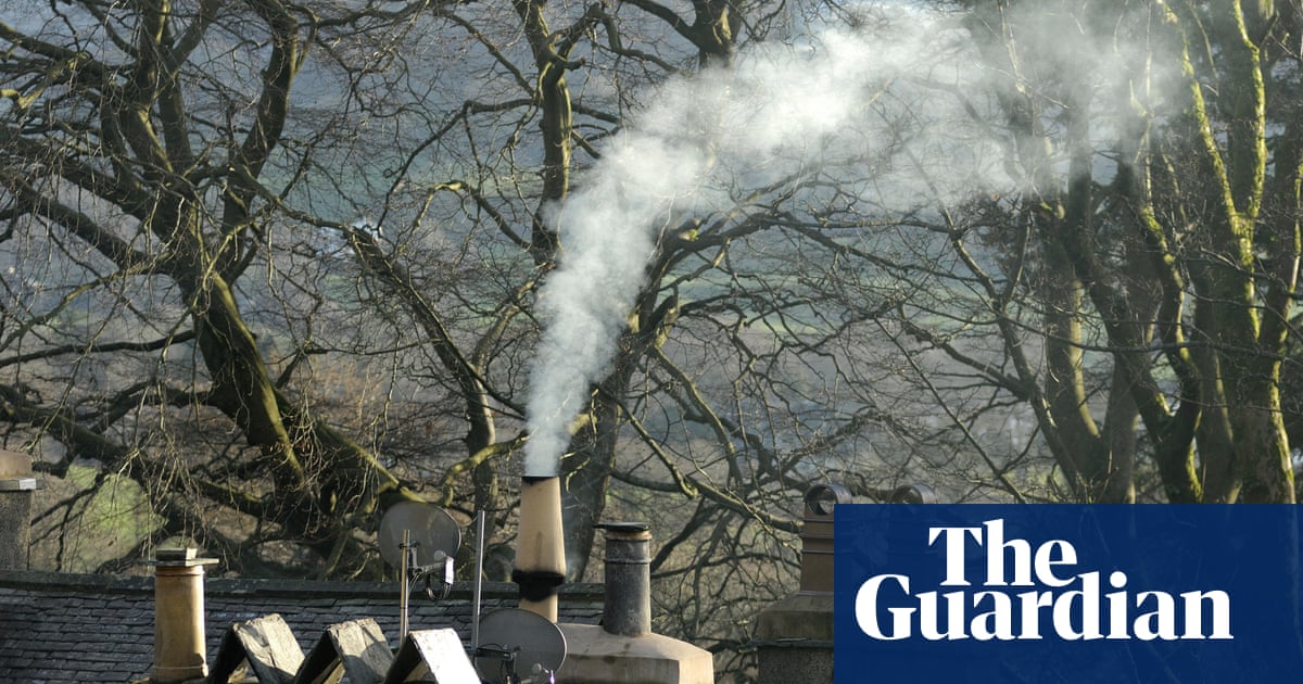 Wood burners cause nearly half of urban air pollution cancer risk – study
