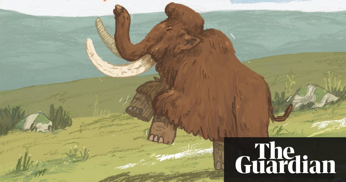 How To Draw A Woolly Mammoth Children S Books The