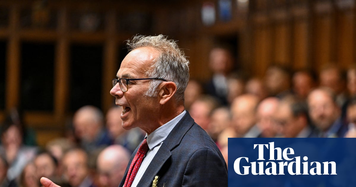Two British MPs denied entry' into Israel during official West Bank visit