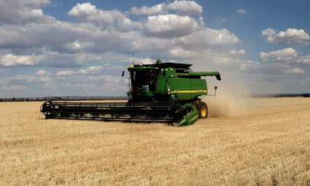 A file photo of a barley crop in the central west of New South Wales, Australia