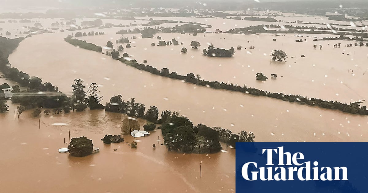 Drowned herds. Towns underwater. Farmers in NSW are facing ‘absolute devastation’