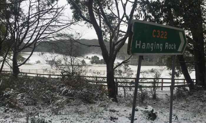 Man Dies In Nsw After High Winds Bring Down A Tree On His Ute Australia Weather The Guardian Man Dies In Nsw After High Winds Bring Down A Tree On His Ute Australia Weather The Guardian