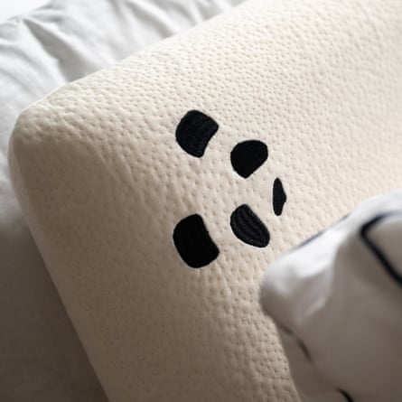 Detail of Panda pillow